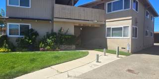 Brookdale Drive Gallery 1