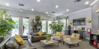 Legends Winter Springs Gallery 10