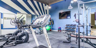 Serene at Creekstone Gallery 10