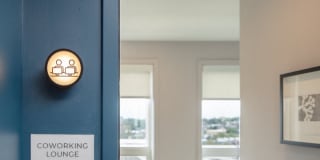 Solo on Chestnut Gallery 1