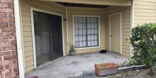 8711 Fancy Finch Dr Gallery 22