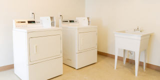 Lexington Manor Gallery 13