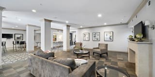 Rise at Elmside Gallery 8