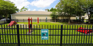 54 Magnolia Gallery 13