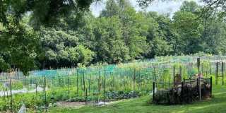 6 BOULDERCREST CT Gallery 22