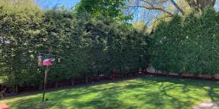 Huge 4 bed single family house in Newton for rent!! Gallery 20