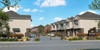 Village at Medical Gallery 1