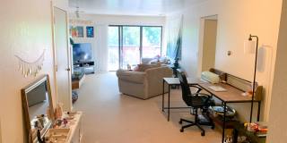 Evergreen Apartments Gallery 42