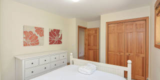 Winter Rental: Wingaerchic (Dog-friendly!) Gallery 31