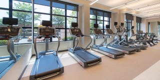 The Dalton Gallery 31