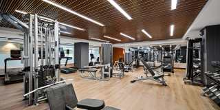 Windsor Winchester Windsor Winchester Gallery 36