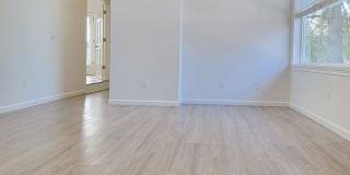 A2405 Gallery 4