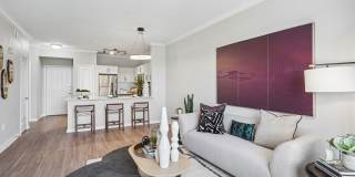 Elan at Bluffview Gallery 7