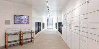 The Silva Gallery 22