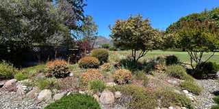 266 Valley Oaks Drive Gallery 21