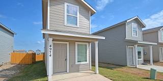 4974 Daisy Blossom Gallery 1