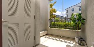 The Strand Gallery 72