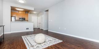 The Village at Town Center Gallery 84