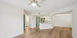 Cortland Harbour Cove Gallery 41