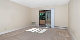 Verde Verde Gallery 11