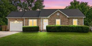 227 Short Street - Gallery 1