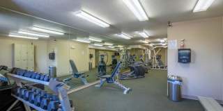 Polo Club Apartments Gallery 30