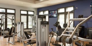 Avalon Laurel Gallery 25