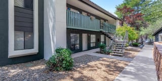 Treehouse Apartments Gallery 49