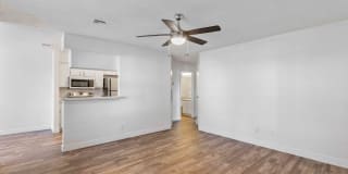 Arabella Gallery 3