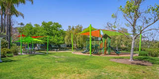 2480 Bear Rock Gln Gallery 27