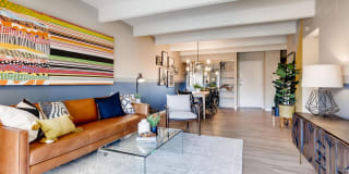 Elm at Panorama Gallery 1