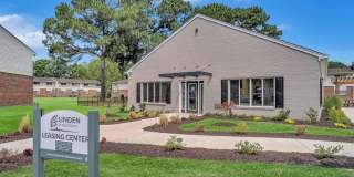 Linden at North Shores Gallery 24