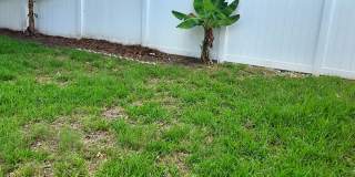 1003 Lumsden Trace Circle Gallery 45