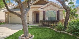 229 Lone Star Gallery 1