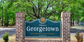 Georgetown Oasis Gallery 1
