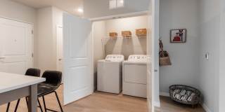 The Aurilla Gallery 58
