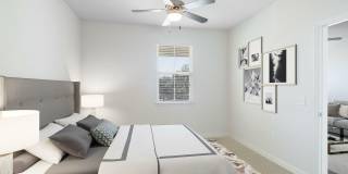 Cortona South Tampa Gallery 5