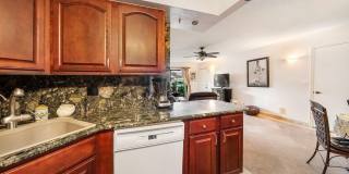 9900 Pineapple Tree Drive Gallery 4