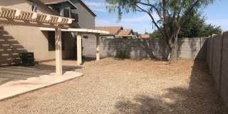 3 bedroom rental in Johnson Ranch Gallery 15