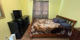 Beautiful 3 Bed 1 Bath Home in Security-Widefield!!! Gallery 12