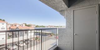 Mandarina Apartment Homes Gallery 45