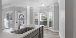 Solano at Chapel Hill Gallery 6