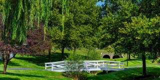 Deertree Gallery 20