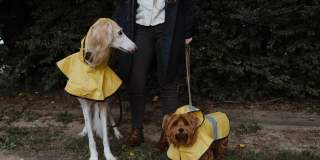 The Davenport Gallery 27