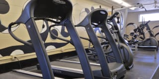 Piccadilly Apartments Gallery 12