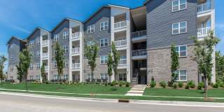 The Arcadia Gallery 1