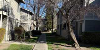 Tracy Park Apartments Gallery 34