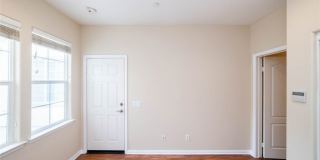 41 Bamboo Gallery 22