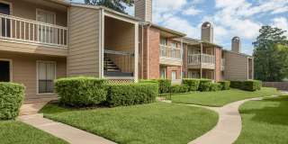 Pine Hills Gallery 17