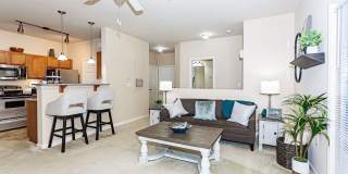 Clemmons Town Center Gallery 12